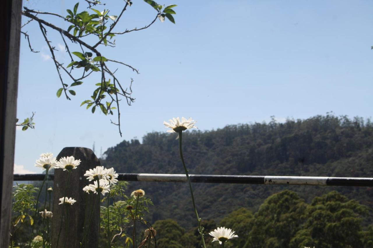 Bezel Bungalow Nuwara Eliya Zewnętrze zdjęcie